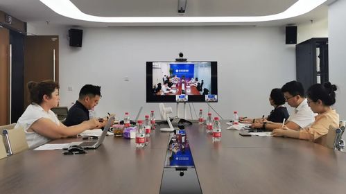 金普創(chuàng)新匯丨中關(guān)村獨(dú)角獸企業(yè)升哲科技參加金普新區(qū)云上對(duì)接會(huì) 信息技術(shù)咨詢服務(wù)