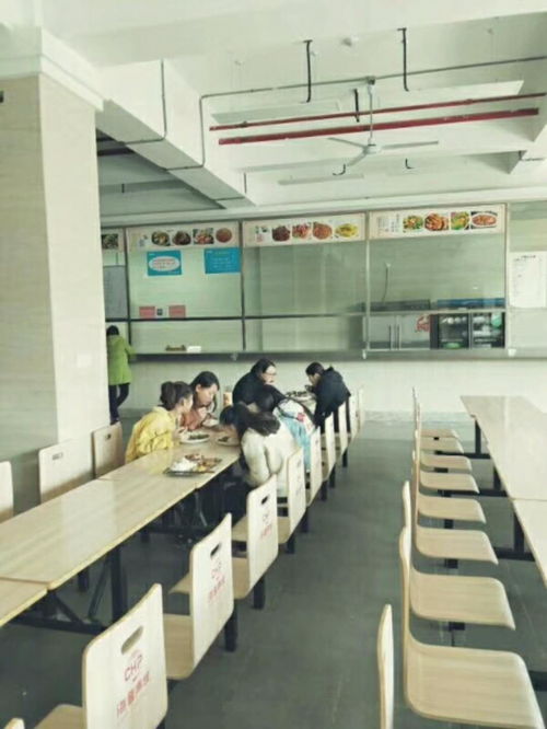 包食宿招移動客服 信息技術(shù)咨詢服務(wù)，打造專業(yè)團(tuán)隊共促發(fā)展